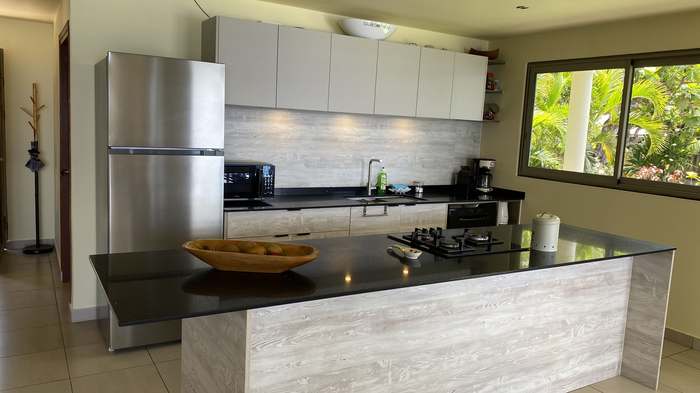 Cuisine moderne Octopus Villa avec ilot central granite noir